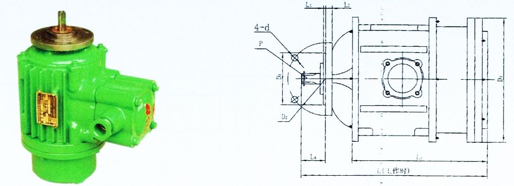 BZDY系列防爆電動葫蘆運(yùn)行電動機(jī)與外形尺寸安裝圖.jpg